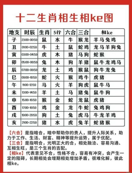 生肖属相速算公式（生肖速算公式新手指南）