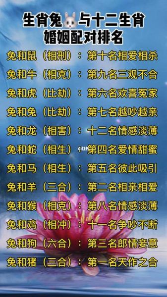 男生肖女生属相配对（男生肖女生属相配对怎么查）