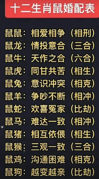 生肖鼠配偶有哪些属相（生肖鼠配偶最佳属相是哪几个？）