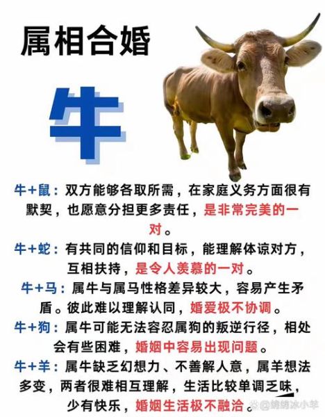 最合适的生肖属相（属牛的和什么属相最配）