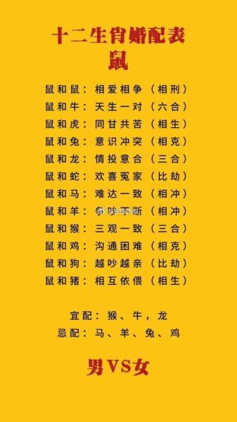 生肖鼠婚配最佳属相解析