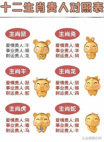 马云属相是什么生肖