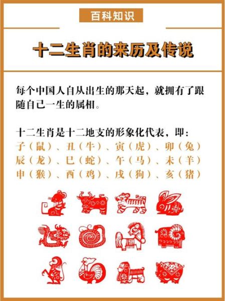 十大生肖属什么生肖属相（十二生肖具体有哪些生肖属相？）