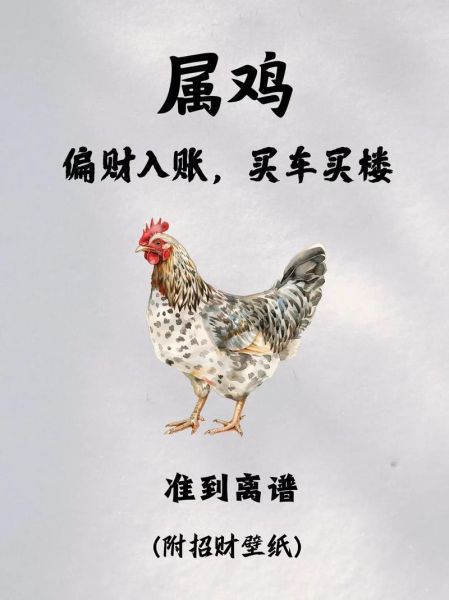 生肖鸡适合带的属相（生肖鸡最旺的三大属相配饰清单）