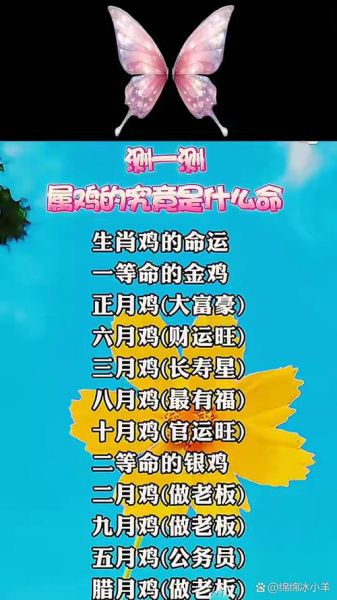 生肖鸡下面的属相（鸡后面是什么属相？新手秒懂生肖顺序）