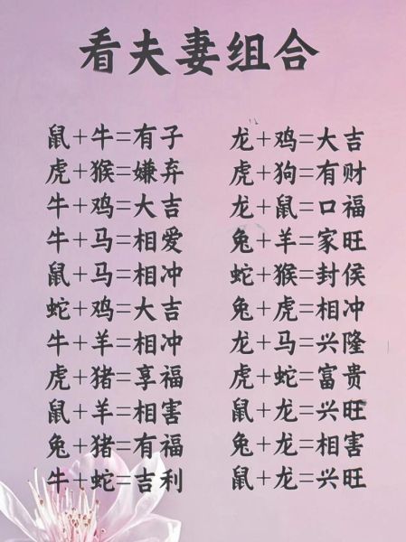 生肖龙配对属相（生肖龙与哪些属相最匹配）