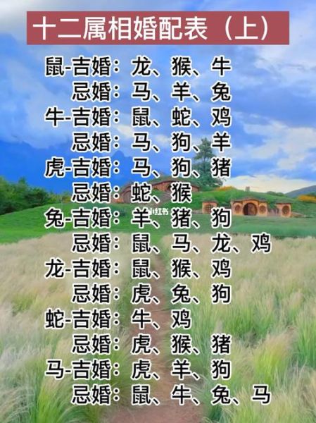 生肖血型配对属相与血型（A型血跟哪些生肖最合拍？小白图解版）