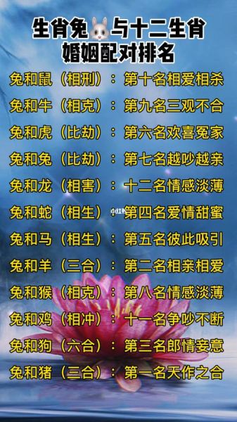 生肖血型配对属相与血型（A型血跟哪些生肖最合拍？小白图解版）