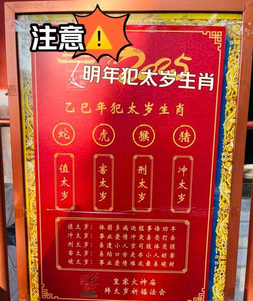 真君属什么生肖属相（真君属什么生肖属相？揭秘全解析）