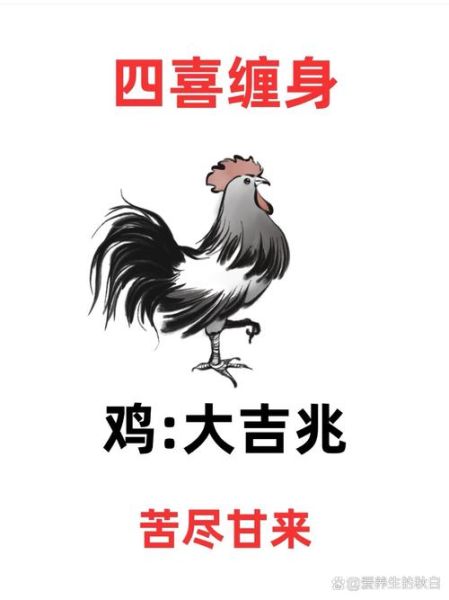 生肖鸡喜气的属相（生肖鸡最合得来的是哪三个属相）