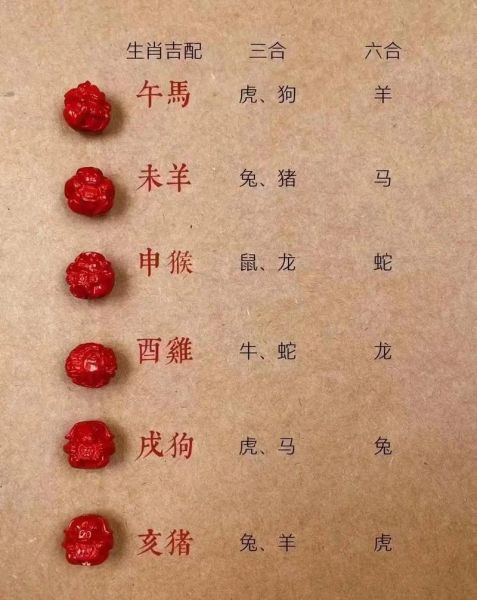 生肖龙合作的属相（生肖龙和哪个属相最合财）