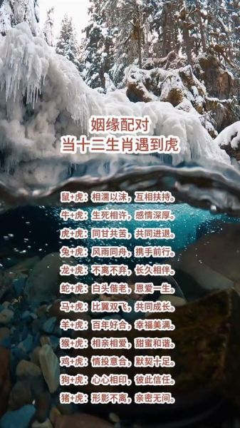 生肖虎婚配什么属相好（属虎和什么属相最配）