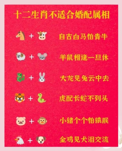 生肖属相民俗传统（生肖属相民俗传统入门指南）