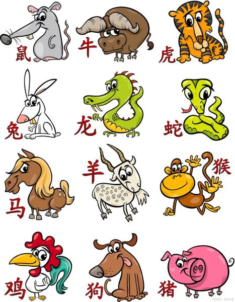 1904生肖属相（1904年属什么生肖？小白秒懂版）