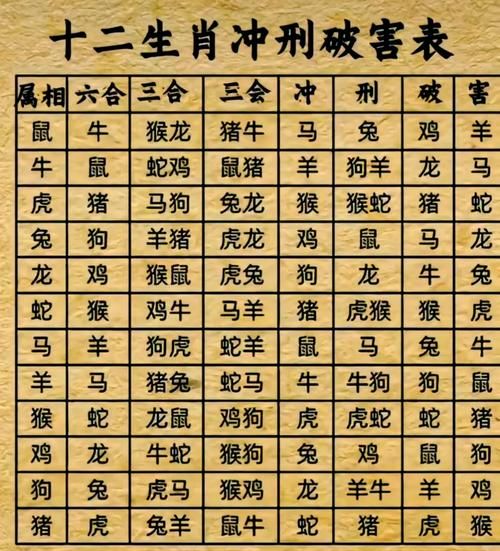 生肖不和属相相配（生肖不合怎么办？配对避坑指南✨）