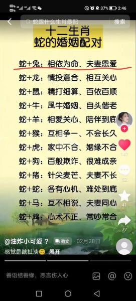 生肖蛇与哪些属相不合（生肖蛇最忌三大属相婚配）