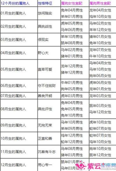 94年生肖属相是什么（94年属什么生肖？属狗！小白一看就懂）