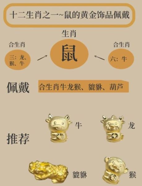 生肖属相与职场关系（鼠年出生职场新人适合做什么工作）