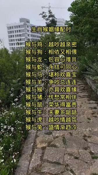 适宜生同属相的生肖（属猴和属猴配对好吗？）