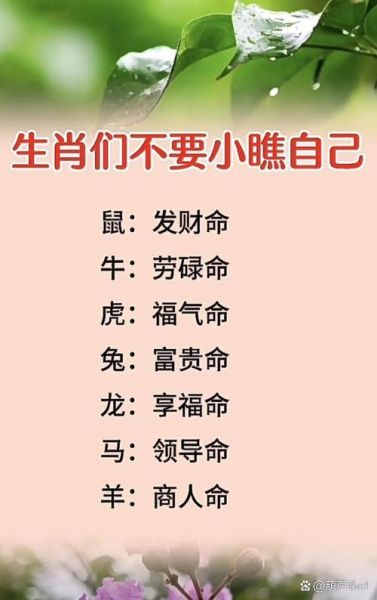 老爷属什么生肖属相最好（老爷属什么生肖最好？小白必读）
