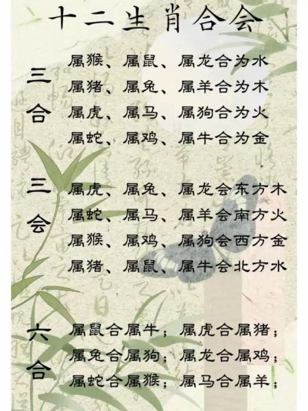 生肖属相八字（怎么看自己的生肖属相八字？）