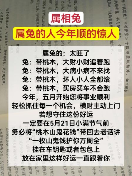 一九七五年生肖属相（1975年属什么生肖兔年详解）