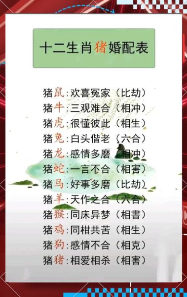 生肖属相马和猪（属马和属猪婚姻合不合？小白版拆解）