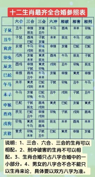 潮汕十二生肖属相合（潮汕十二生肖属相合对表超简单版）