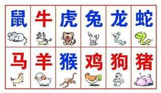 2019属相什么生肖（2019属什么生肖？新手一眼看懂的答案）