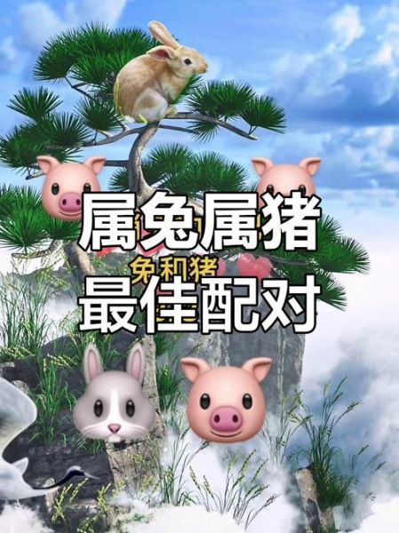 生肖兔和属相（生肖兔和哪些属相最佳配对）
