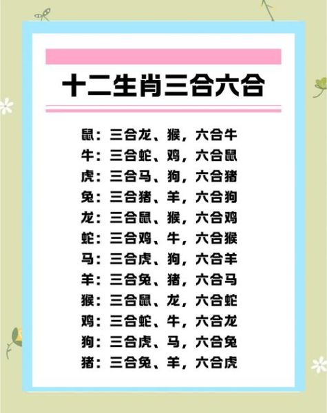 跟生肖属相合的生肖（跟生肖属相合的生肖是什么）