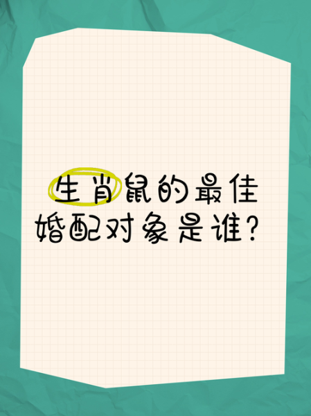 生肖鼠配对最佳属相（生肖鼠配什么最好？答案来了！）