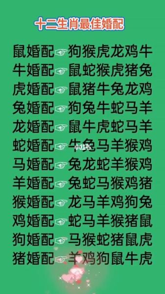 生肖配对孩子生肖属相（孩子属相与父母不合怎么办？）