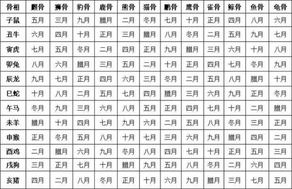 月是什么生肖属相（月对应的生肖是什么）