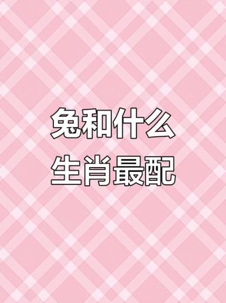 生肖免女最佳配偶属相（生肖兔女最佳配偶属相解析）
