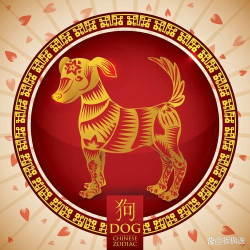 生肖狗喜欢沉默的属相（生肖狗喜欢沉默的属相是谁）