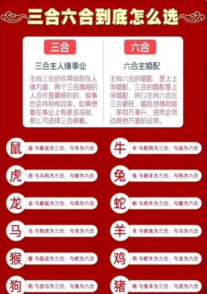 生肖属相冲突（生肖相冲的人可以做夫妻吗）
