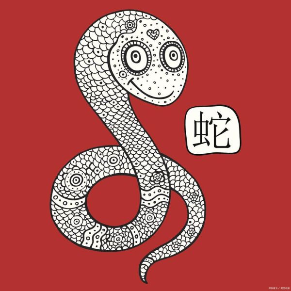 生肖蛇是小属相吗（生肖蛇是小属相吗？小白一看就懂）