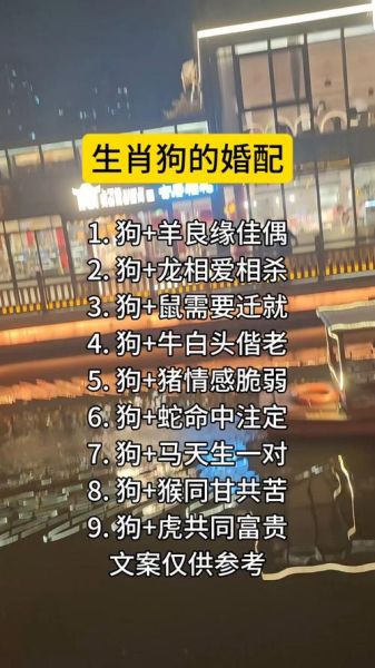 生肖狗婚姻属相搭配（生肖狗婚姻最配的属相有哪些）