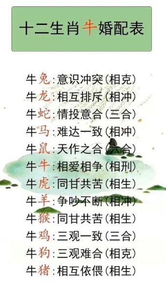生肖牛适合什么属相（生肖牛最适合的属相配对新手速查😎）