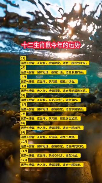 生肖属相健康运势（2024年属鼠健康运势完整版解析）