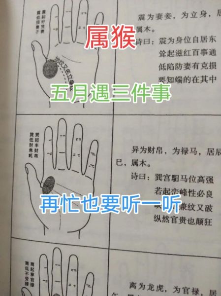 生肖猴忌啥属相（生肖猴最忌的三个属相🐒🚫）