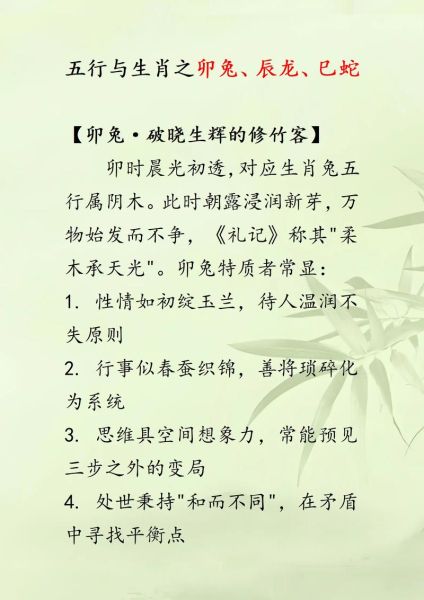 二三年属相是什么生肖（2023年属蛇还是属兔？🐰生肖划分规则一看就懂）