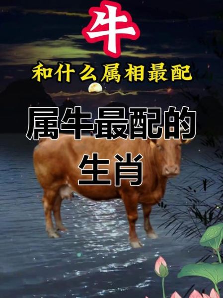 生肖牛跟什么属相（生肖牛婚配最合什么属相？）