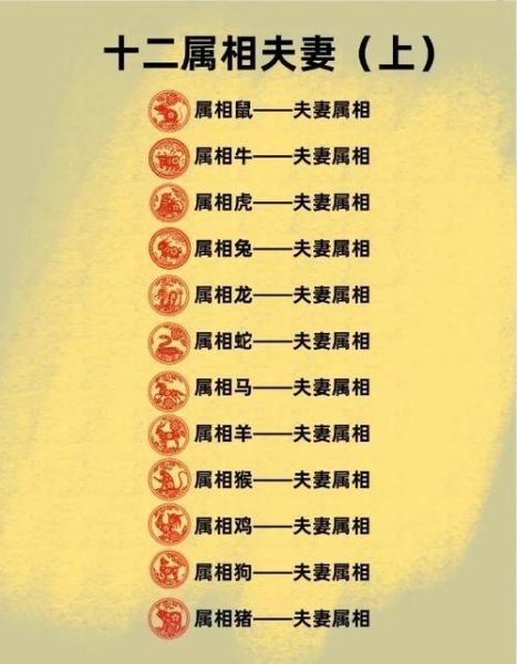 生肖龙什么属相（生肖龙和什么属相最配？）