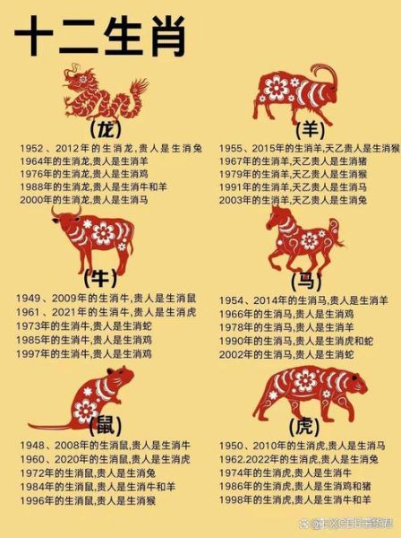 杨亚东属什么生肖属相（杨亚东生肖属相是什么，一文看懂）