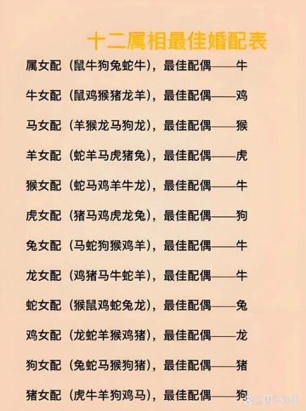 生肖马忌配属相（生肖马忌配属相全解析：避开这些组合更顺心）