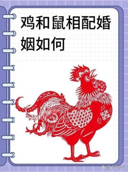 生肖鸡婚姻与属相（生肖鸡婚姻与属相最配查询）