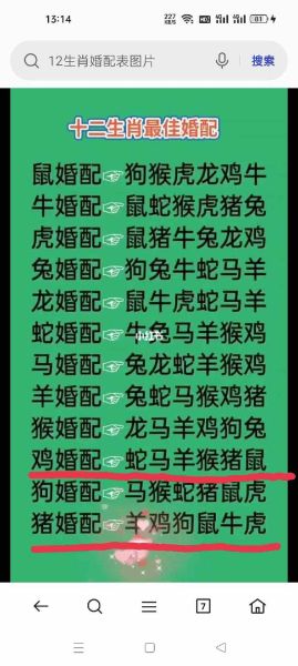 生肖属相不相配（生肖属相不合是真的吗？小白避坑指南）