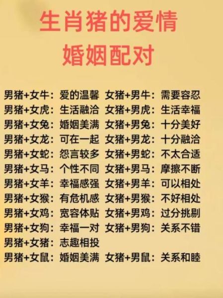 猪女性适合的生肖属相（猪女最佳婚配生肖属相揭晓）